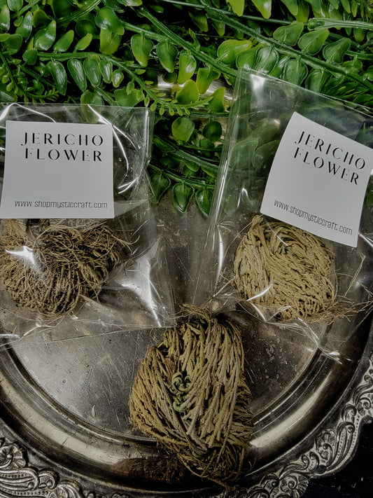 Jericho Flower - Small
